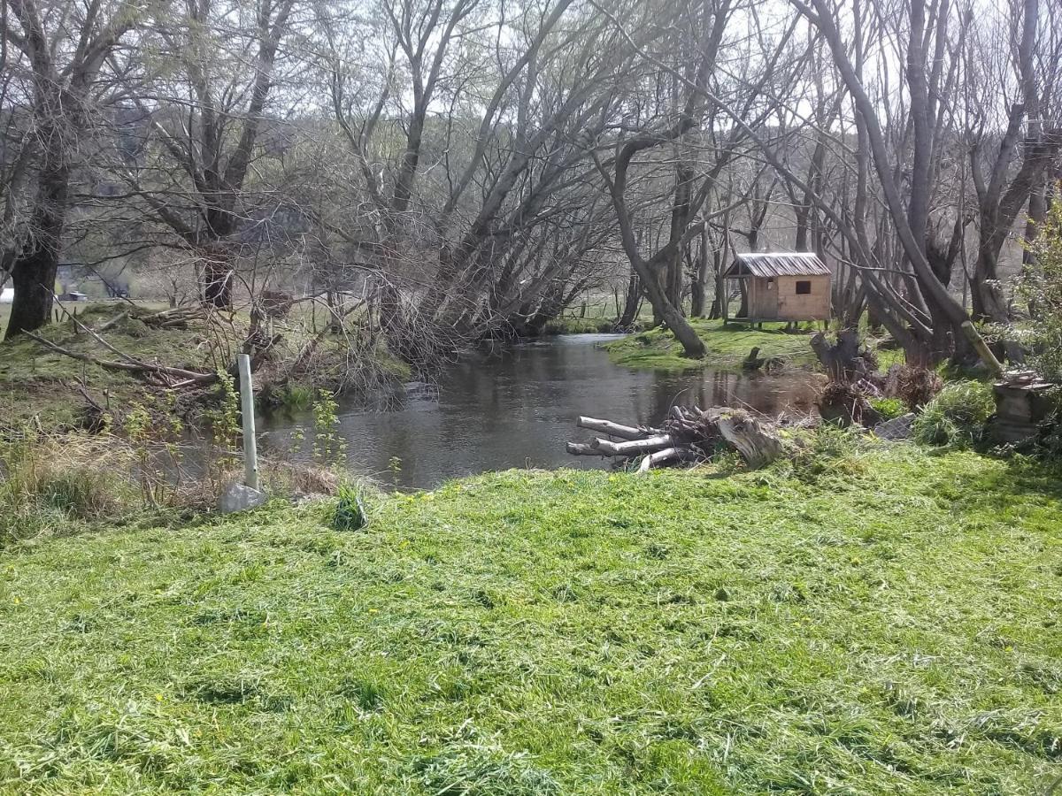 Cabana Con Costa De Arroyo San Martín de los Andes Екстериор снимка